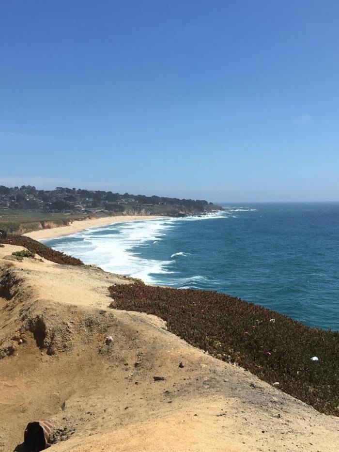 36908158_1828954864080126_42496944752295936_n